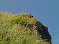 2014 Edinburgh 2014-07-09 067